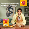 Pedigree Chicken & Liver Chunks in Gravy Puppy Wet Dog Food Dogs-Wet Food Pedigree