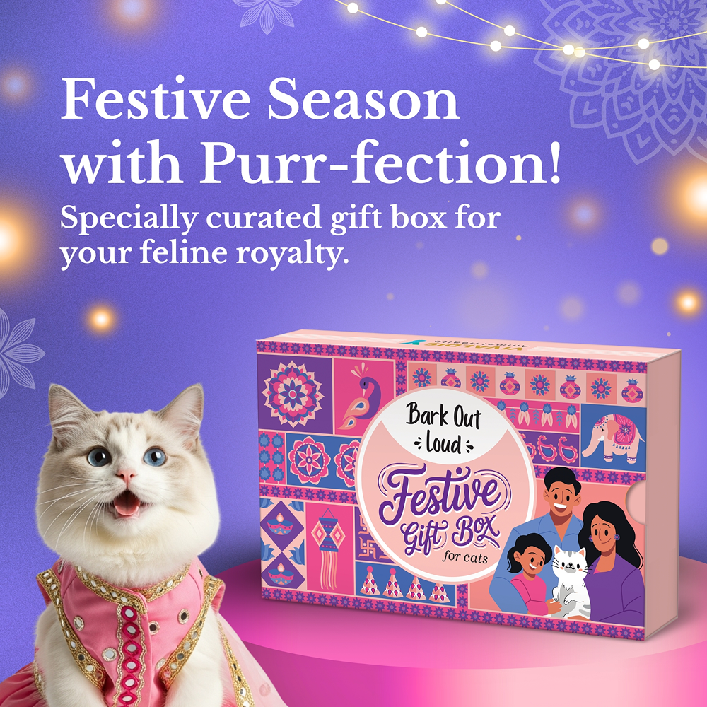 Bark Out Loud Festive Gift Box for Cats Cats-Treats & Others Bark Out Loud