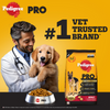 Pedigree PRO Expert Nutrition Active Adult (18 Months Onwards) Large Breed Dog Dry Food Dogs- Dry Food Pedigree PRO