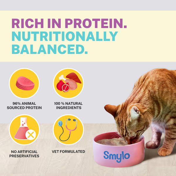 Smylo Chicken, Liver and Pomergranate Fresh and No Preservative Adult Cat Wet Food