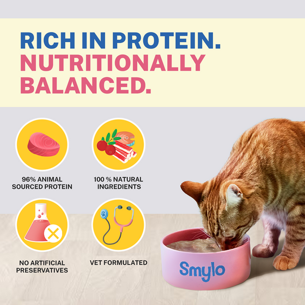 Smylo Mackerel, Kanikama and Cranberry Fresh and No Preservative Adult Cat Wet Food