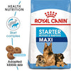Royal Canin Maxi Starter Dog Dry Food Sample Royal Canin