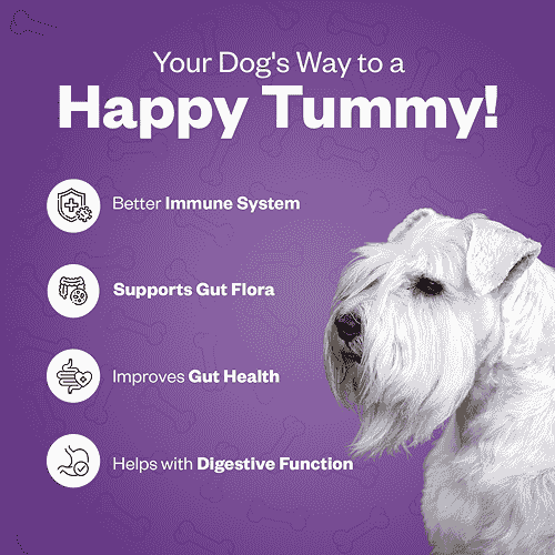 TailsAlive Probiotic Chicken Flavor Soft Chews Supplements for Dogs