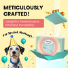 Bark Out Loud by Vivaldis Prefect Gifting Treat Box for Dogs