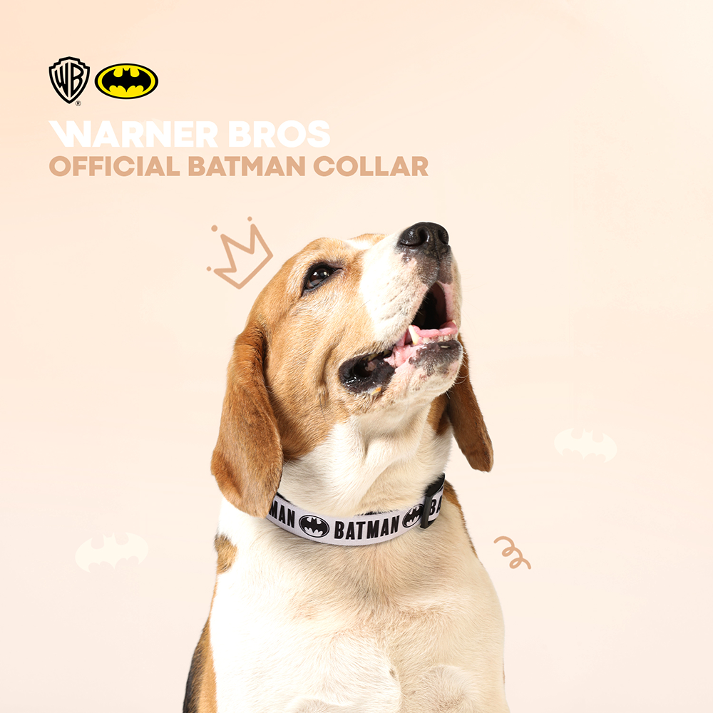 Warner Bros Batman Collar for Dogs and Cats Both-Collar, Leashes, harnesses Warner Bros
