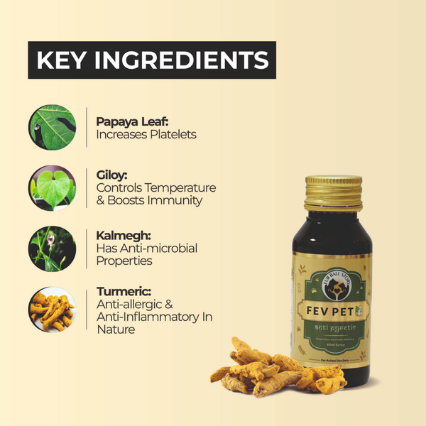 FurBall Story Fev Pet Syrup for Dogs and Cats