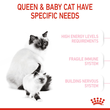 Royal Canin Mother & Babycat Cat Dry Food