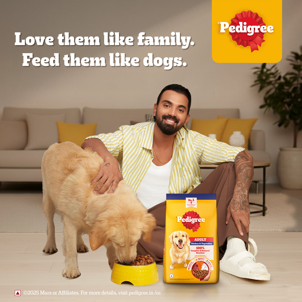 Pedigree Chicken and Vegetables Adult Dog Dry Food Dogs- Dry Food Pedigree