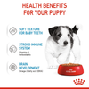 Royal Canin Mini Puppy Dog Wet Food Dogs-Wet Food Royal Canin