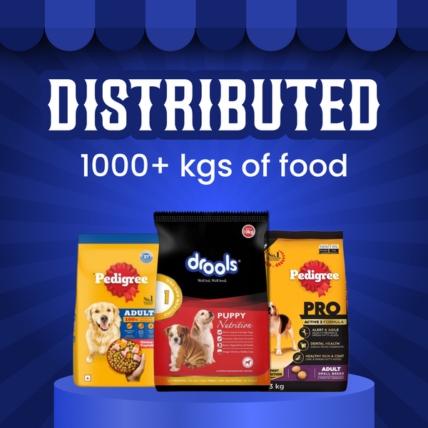 Feed a Streetie | Virtual feeding drive