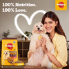 Pedigree Meat & Rice Adult Dog Dry Food Dogs- Dry Food Pedigree