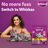 Whiskas Chicken Flavour Cat (Adult 1+) Dry Food Cats- Dry food Whiskas