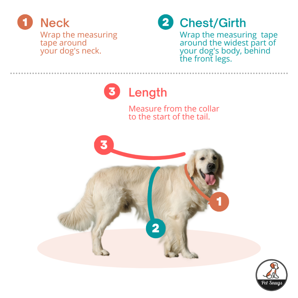 Petsnugs Pumpkin Paws Sweater for Dogs and Cats (Orange) Both-Clothing & Accessories Petsnugs Dropship