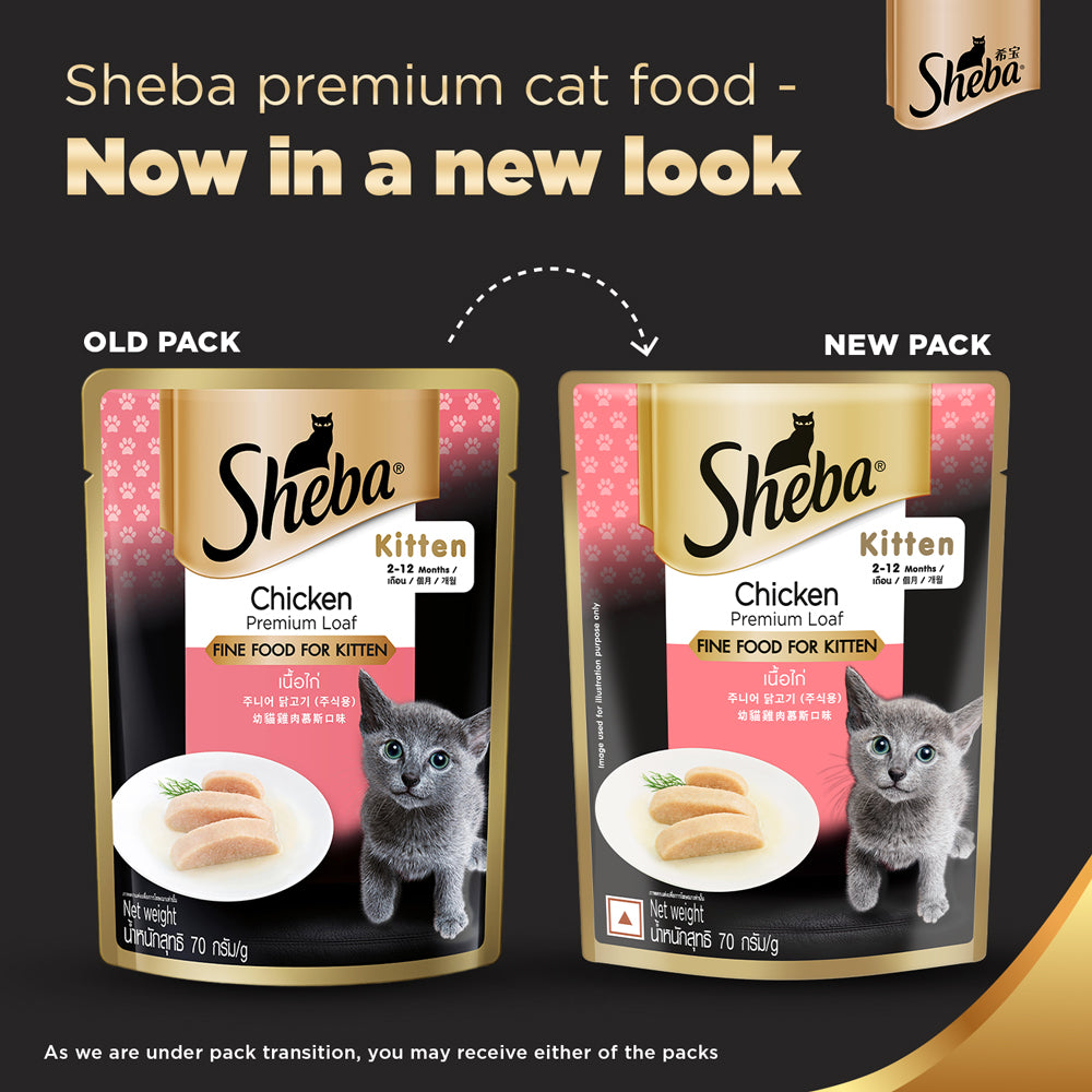 Sheba Chicken Loaf Premium Kitten (2 to 12 Months) Wet Food and Chicken All Life Stage Cat Dry Food Combo Exclusive Combo Sheba