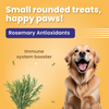 Bark Out Loud by Vivaldis Chicken Swirls Dog Treats