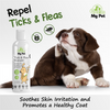 Groom My Pet Tick and Flea Shampoo for Dogs Dogs-Grooming Supplies Groom My Pet Dropship