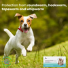 Wiggles Deworminator Deworming Tablets for Dogs and Cats Both-Health & Wellness Wiggles