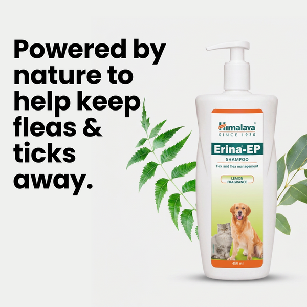 Himalaya Erina EP Tick and Flea Shampoo for Dogs and Cats