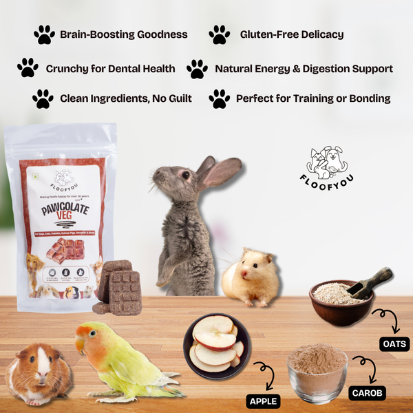FloofYou Oven Baked Pawcolate Chocolate Flavoured Small Animal Treats