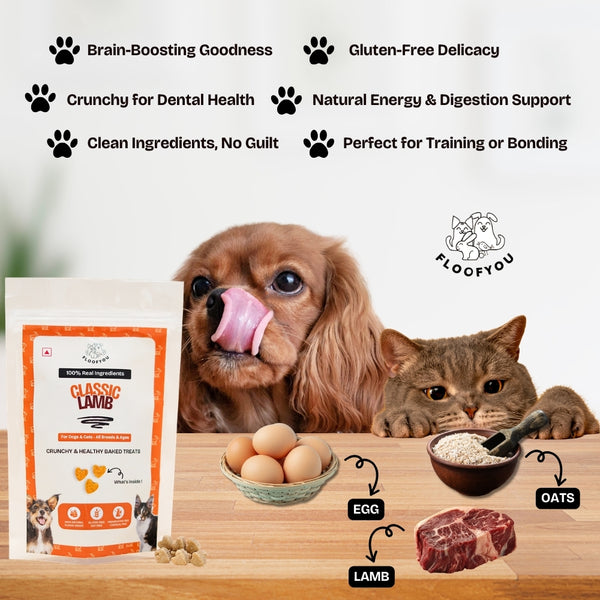 Floofyou Lamb Oven Baked Cookie Dog Treats
