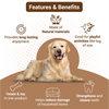 Bowlers Chewrope Abacus Functional Dog Treats Dog Treats + Others Bowlers