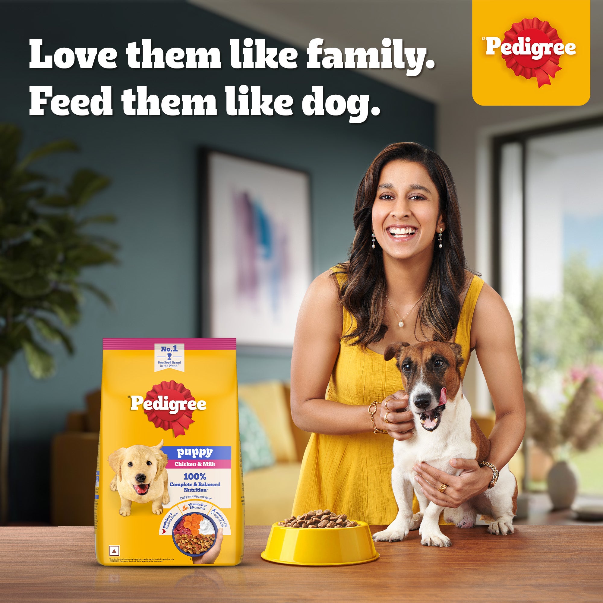 Pedigree Chicken and Milk Puppy Dog Dry Food Dogs- Dry Food Pedigree