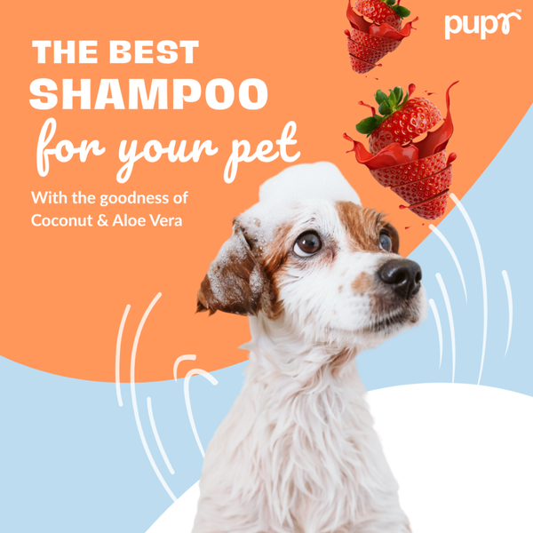 Pupr Deep Cleansing Strawberry Flavoured Shampoo for Dogs