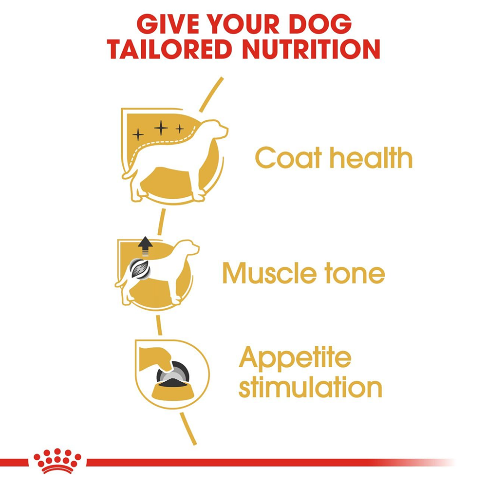 Royal Canin Poodle Adult Dog Dry Food Dogs- Dry Food Royal Canin