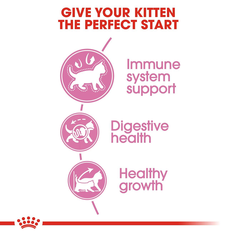 Healthy Kitten Nutrition Pack | Royal Canin Kitten Food with Sheba Wet Meals & Supplements Cats- Dry food Royal Canin
