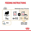 Royal Canin Loaf In Gravy Shih Tzu Adult Dog Wet Food Dogs-Wet Food Royal Canin