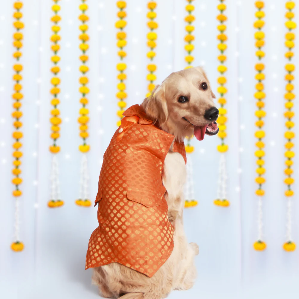 Pet Set Go Kurta with Bowtie for Dogs (Orange) Dogs-Clothing & Accessories Pet Set Go Dropship