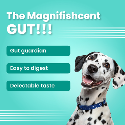 Bark Out Loud by Vivaldis Mini Fishes Grain Free & Hypoallergenic Dog Treats Sample Bark Out Loud