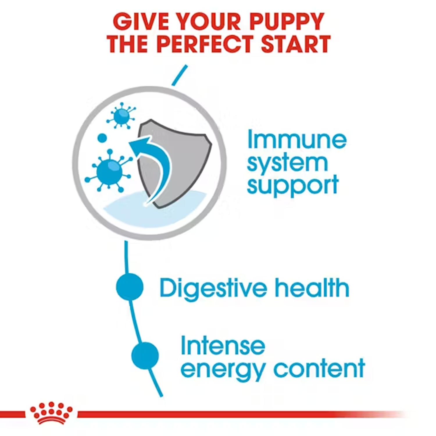 Royal Canin Mini Puppy Dog Wet Food Dogs-Wet Food Royal Canin
