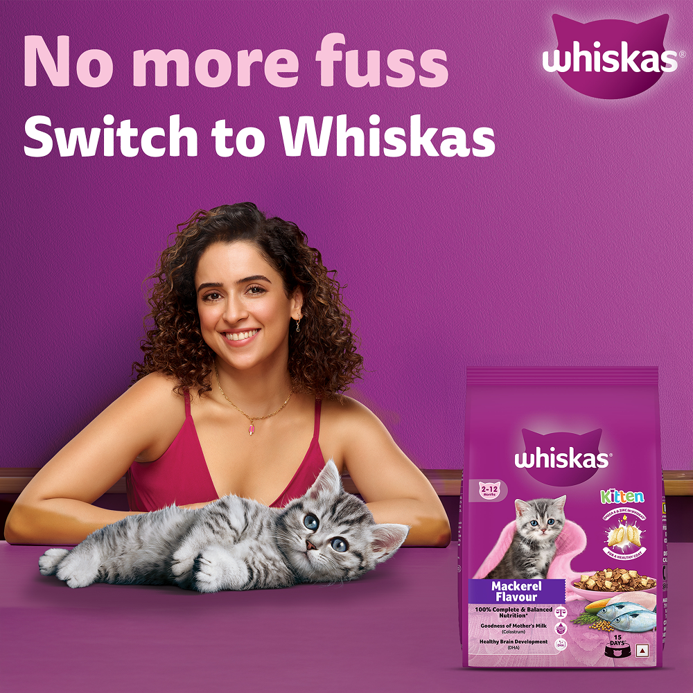 Whiskas Mackerel Flavour Kitten (2 to 12 months)Cat Dry Food Cats- Dry food Whiskas