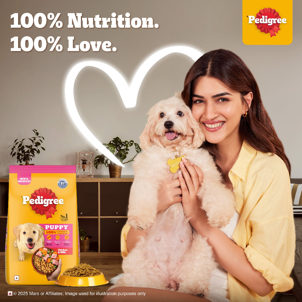 Pedigree Chicken and Milk Puppy Dog Dry Food Dogs- Dry Food Pedigree