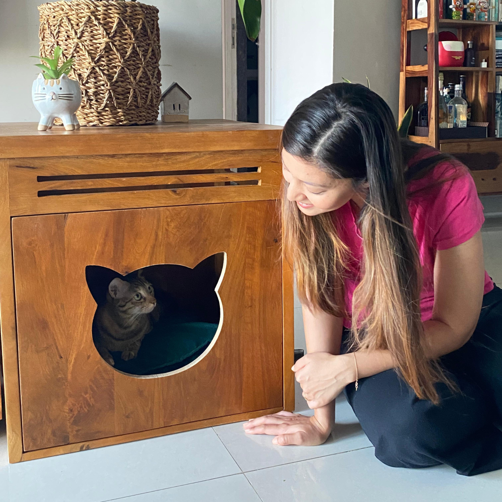 FurryLiving Meraki Cabinet with Cushion for Small Dogs and Cats (Honey/Red Cushion) Both-Furniture FurryLiving Dropship