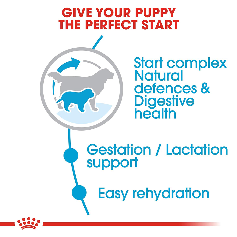 Royal Canin Royal Canin Giant Starter, Mother & Babydog Dog Dry Food Dogs- Dry Food Royal Canin
