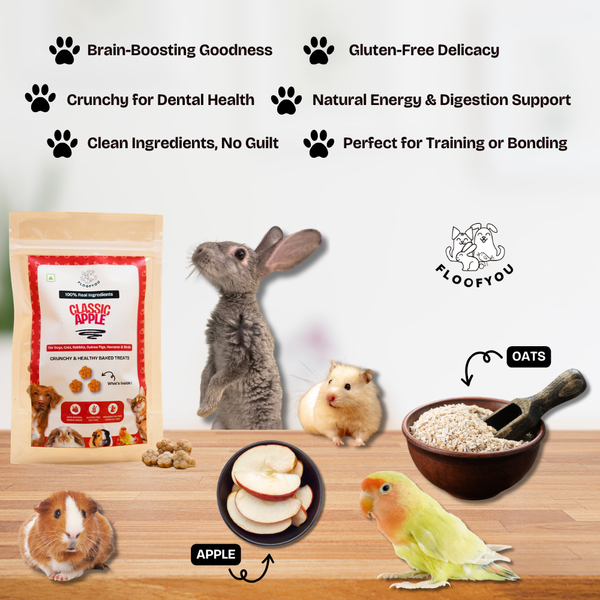 FloofYou Oven Baked Classic Apple Small Animal Treats