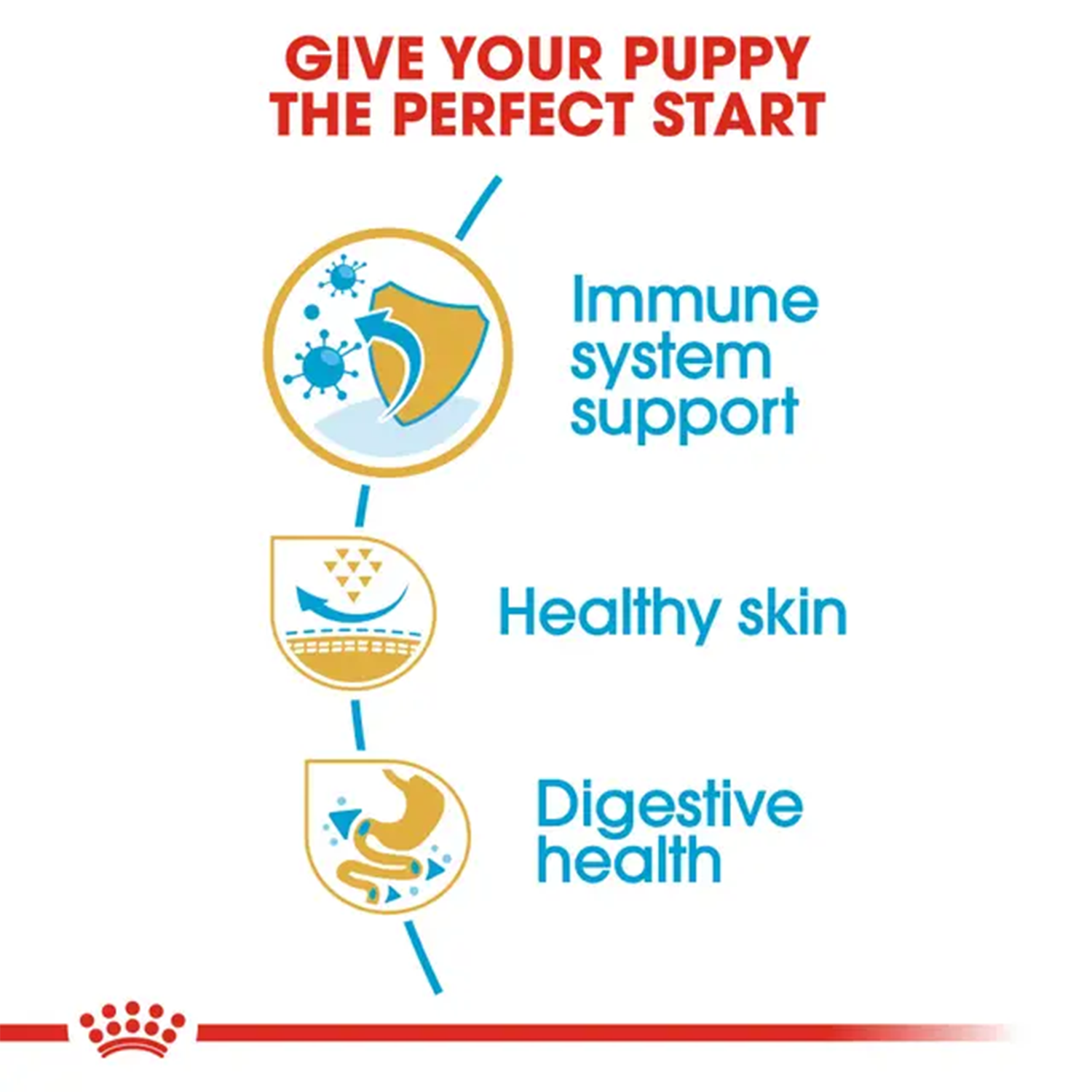 Royal Canin Pug Junior Dog Dry Food Dogs- Dry Food Royal Canin
