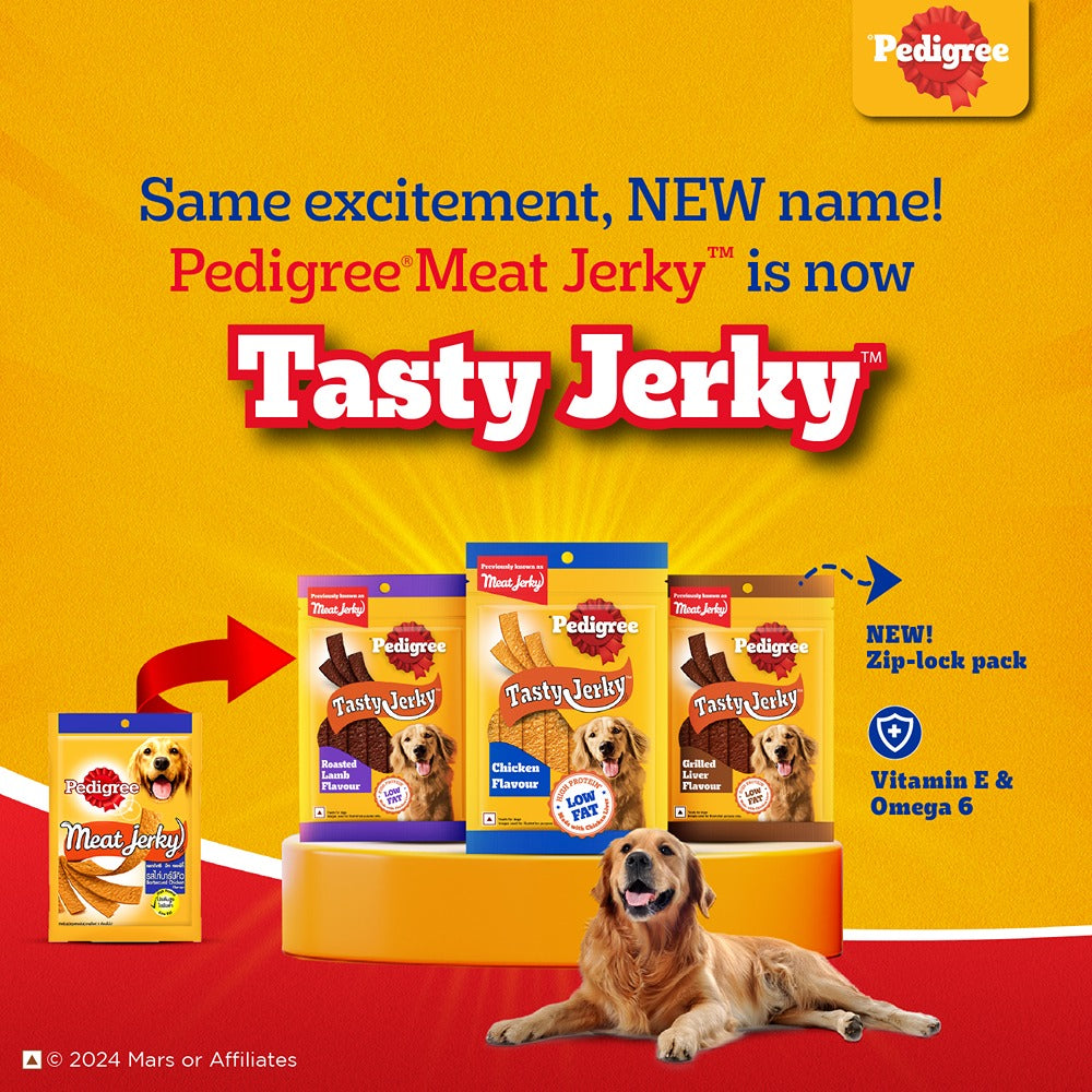 Pedigree Dentastix Oral Care for Adult (Large Breed of 25 kg+) and Grilled Liver Tasty Jerky Dog Treats Combo Dog Treats + Others Pedigree