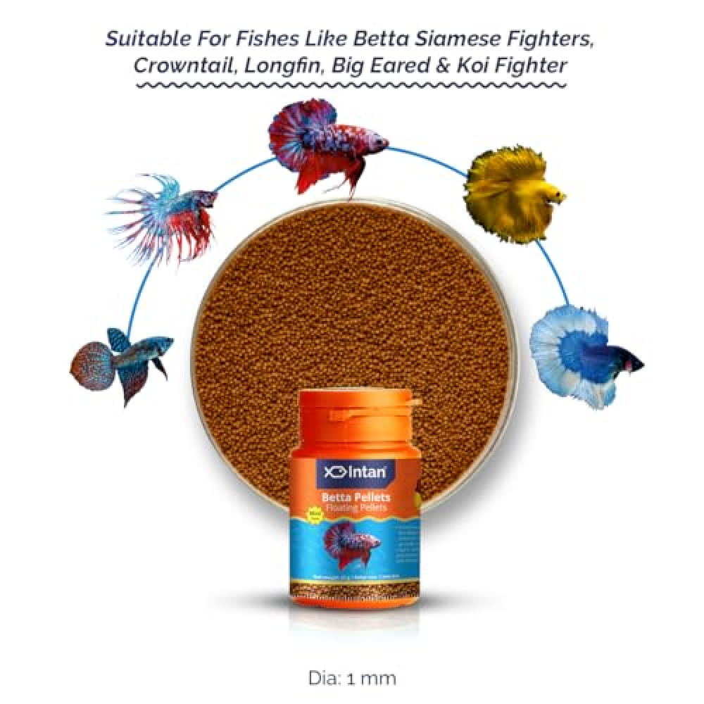 Brand Best Betta Pellets Aqua One Betta Pellet Fish Food PetO