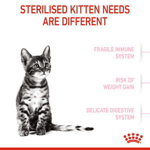 Royal Canin Sterilised Kitten Dry Food