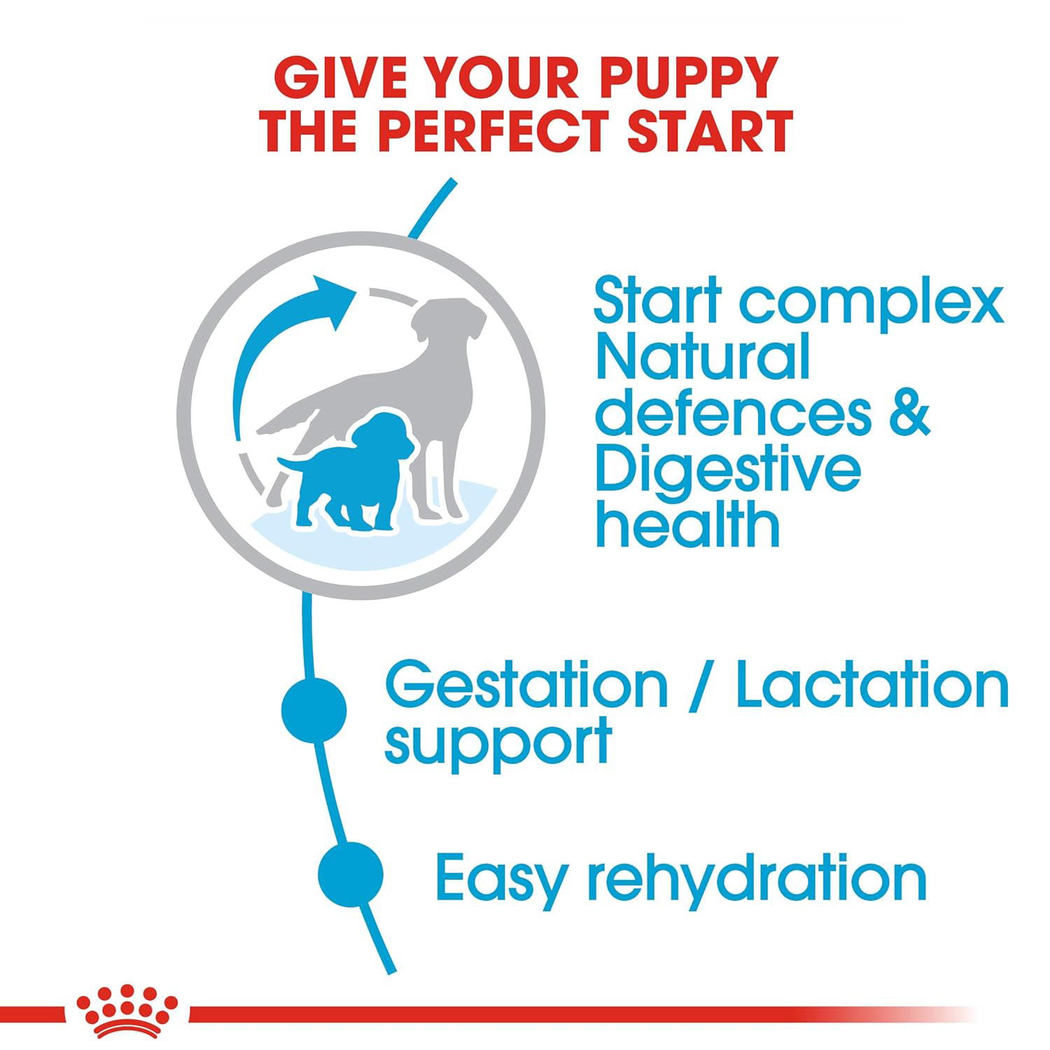 Royal Canin Medium Starter, Mother & Babydog Dry Food Dogs- Dry Food Royal Canin