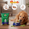 Nootie Spinach & Cheese Flavour Veg Biscuits Adult Dog Treats Dog Treats + Others Nootie