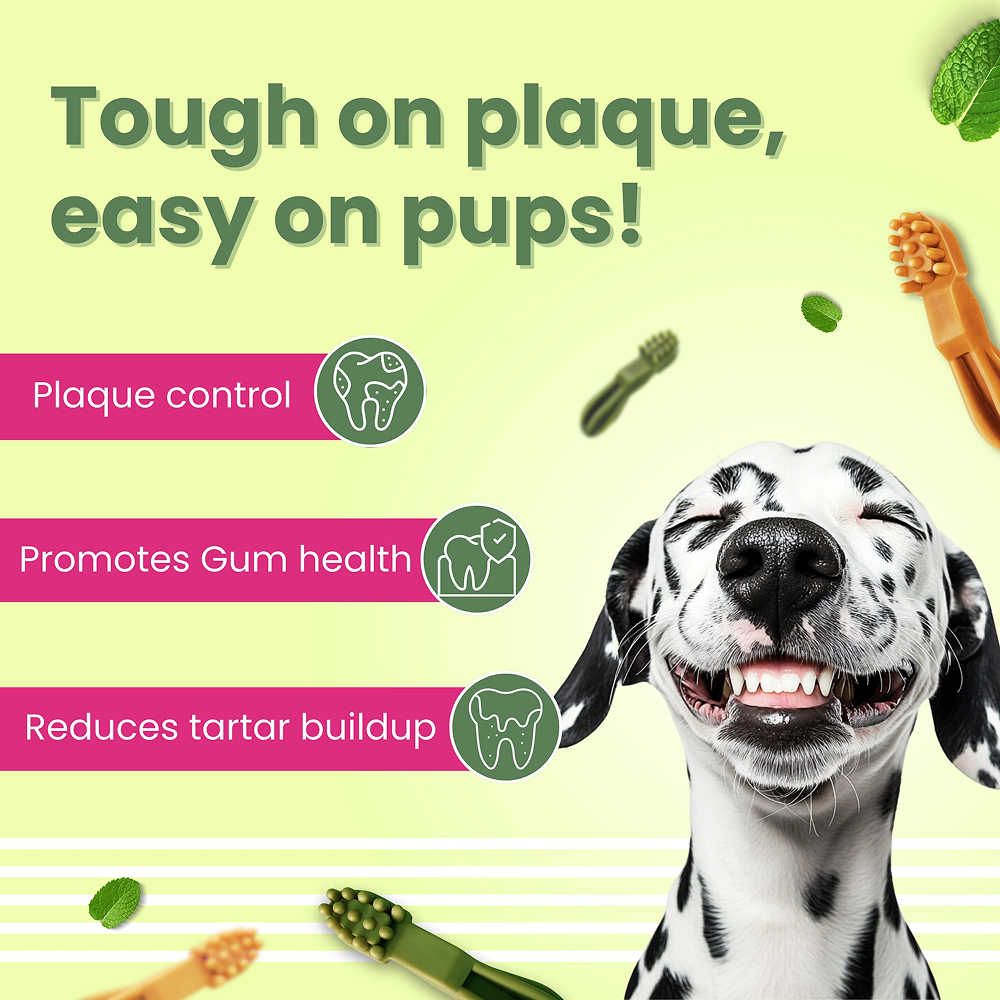 Bark Out Loud by Vivaldis Grain Free Chicken Dental Chews Dog Treats Dog Treats + Others Bark Out Loud