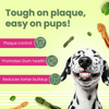 Bark Out Loud by Vivaldis Grain Free Chicken Dental Chews Dog Treats Dog Treats + Others Bark Out Loud