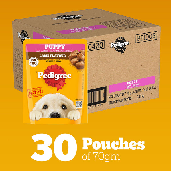 Pedigree Lamb Flavour Chunks in Gravy Puppy Wet Food