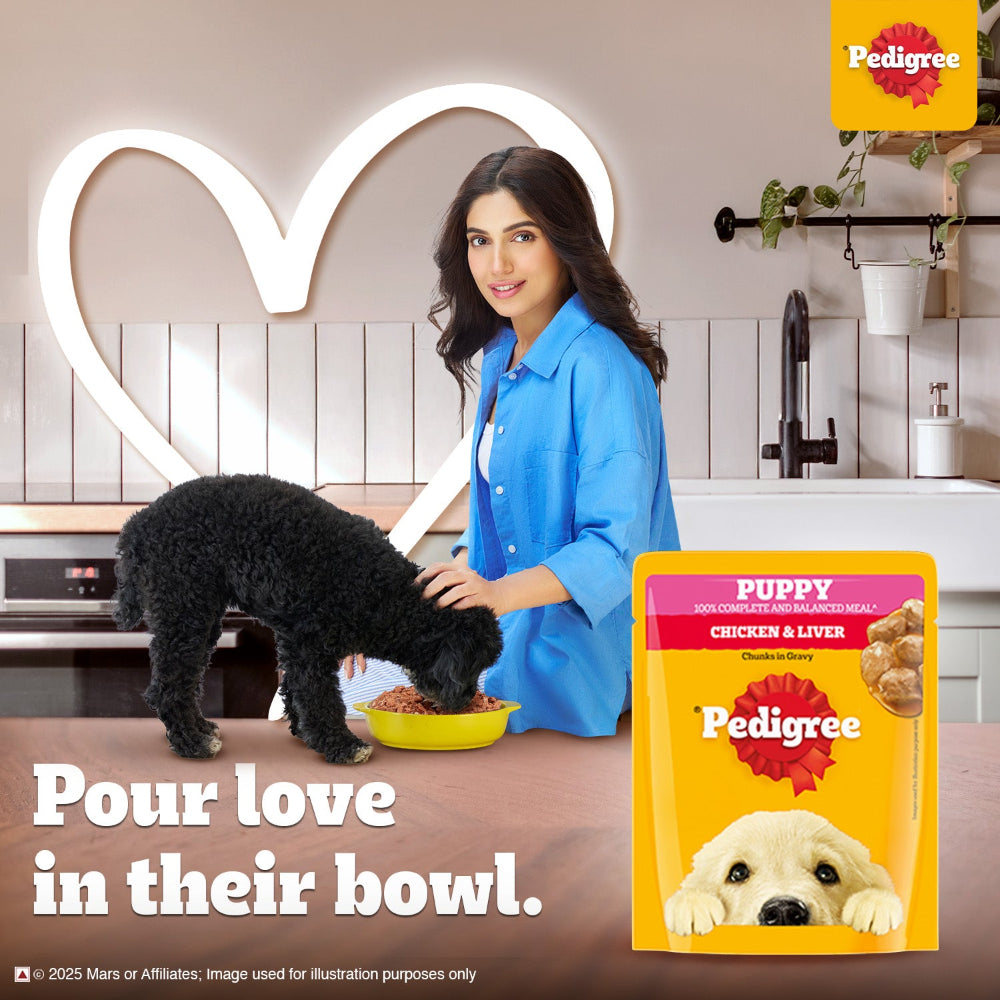 Pedigree Chicken & Liver Chunks in Gravy Puppy Wet Dog Food Dogs-Wet Food Pedigree