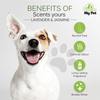 Groom My Pet Lavender and Jasmine Pampered Pooch Cologne for Dogs Dogs-Grooming Supplies Groom My Pet Dropship