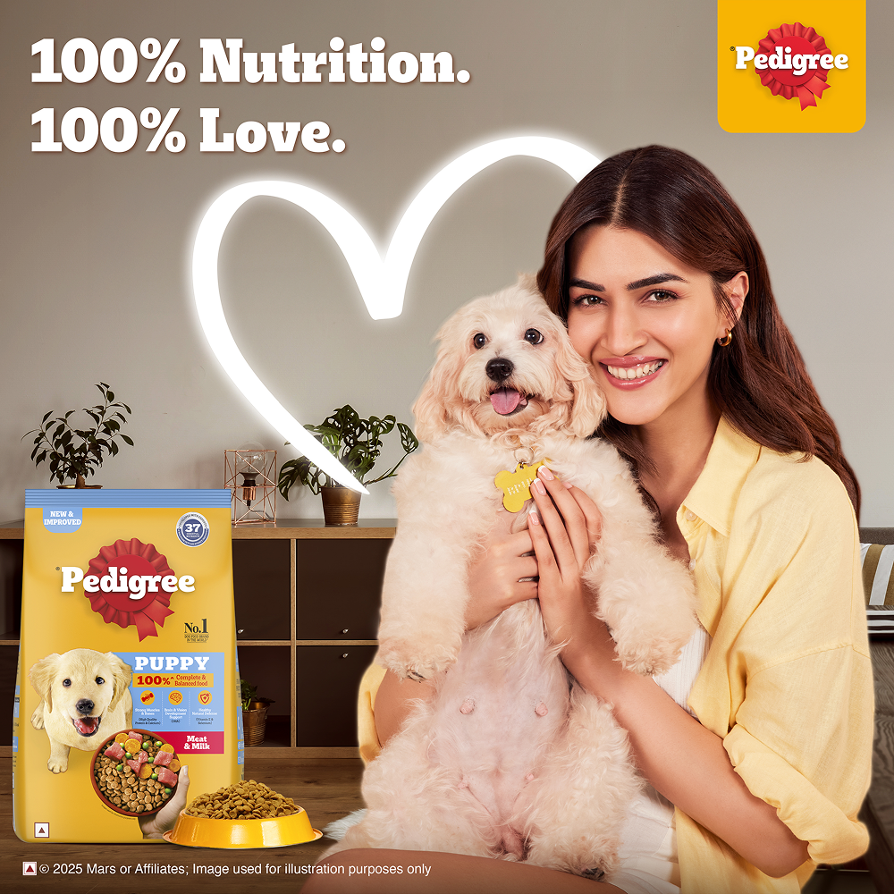 Pedigree Meat & Milk Puppy Dog Dry Food Dogs- Dry Food Pedigree